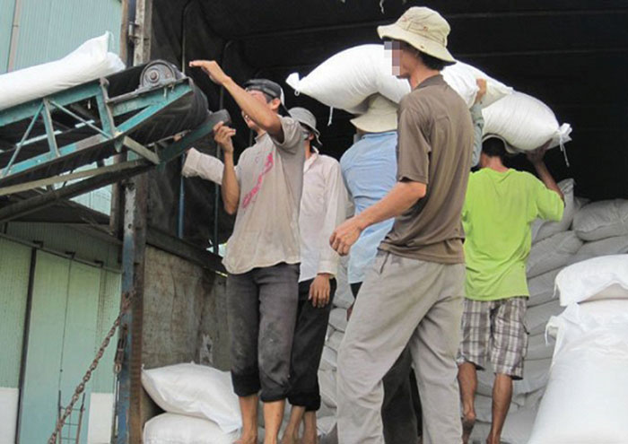 Thuê bốc vác tại Quảng Ninh ở đâu rẻ Thuê bốc vác tại Quảng Ninh ở đâu rẻ