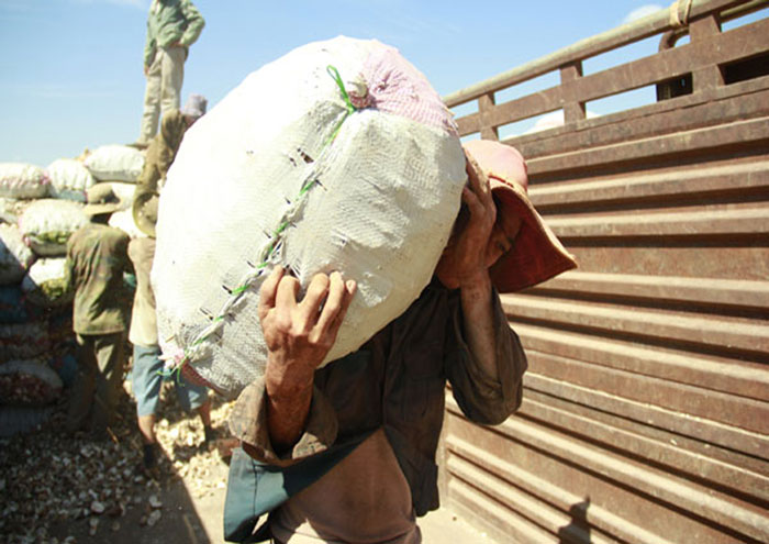 Thuê bốc vác tại Quảng Ninh Thuê bốc vác tại Quảng Ninh