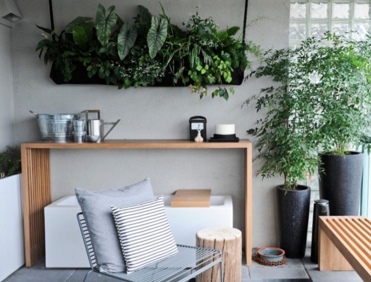 trang trí phòng trọ bằng cây xanh