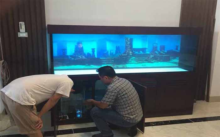 chuyển bể cá cảnh