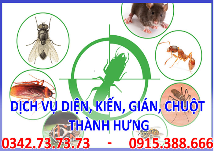 Dịch vụ diệt, kiến, gián, mối, chuột tại Hà Nội Dịch vụ diệt, kiến, gián, mối, chuột tại Hà Nội