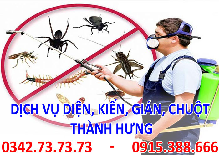 Dịch vụ diệt, kiến, gián, mối, chuột Dịch vụ diệt, kiến, gián, mối, chuột