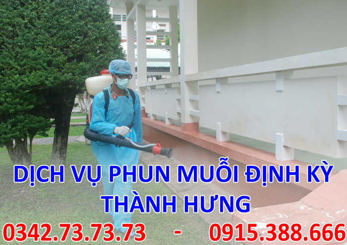 Dịch vụ phun muỗi định kỳ tại Hà Nội giá rẻ Dịch vụ phun muỗi định kỳ tại Hà Nội giá rẻ