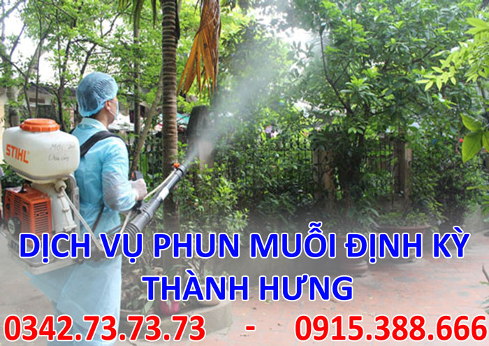 Dịch vụ phun muỗi định kỳ tại Hà Nội Dịch vụ phun muỗi định kỳ tại Hà Nội