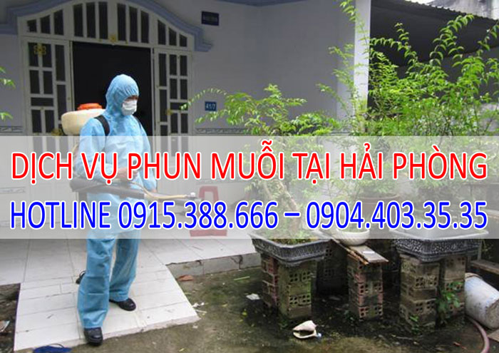 Dịch vụ phun muỗi tại Hải Phòng giá rẻ Dịch vụ phun muỗi tại Hải Phòng giá rẻ