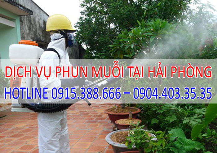 Dịch vụ phun muỗi tại Hải Phòng Dịch vụ phun muỗi tại Hải Phòng