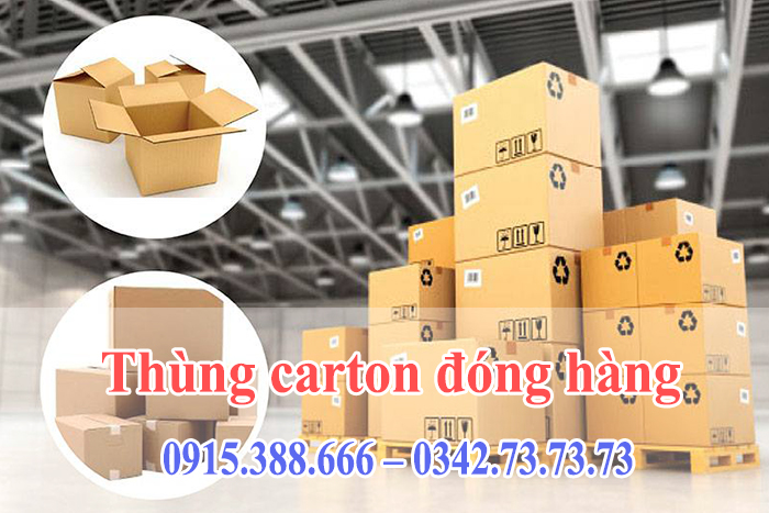 Thung- carton-dong-hang Các loại thùng carton phổ biến được sử dụng trong đóng gói hàng hóa