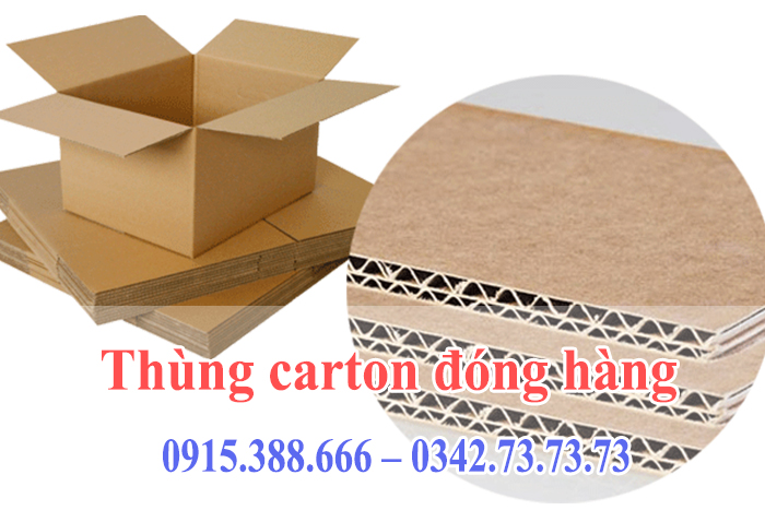 Thung- carton-dong-hang Những lợi ích của việc sử dụng thùng carton đóng hàng trong vận chuyển