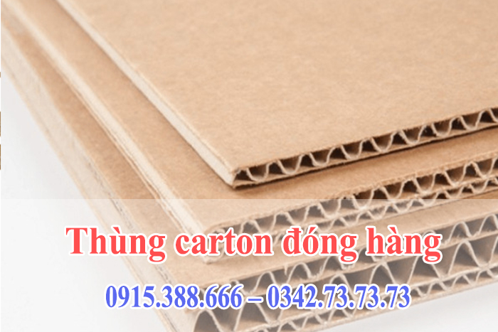 Thung- carton-dong-hang Các loại thùng carton phổ biến được sử dụng trong đóng gói hàng hóa