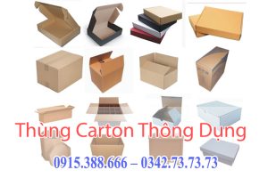 Các Loại Thùng Carton Thông Dụng Trên Thị trường Hiện Nay