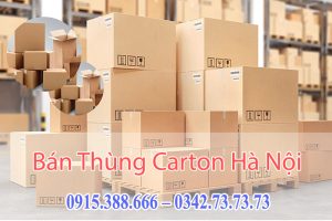 Mua Bán Thùng Carton Hà Nội Uy Tín, Giá Rẻ
