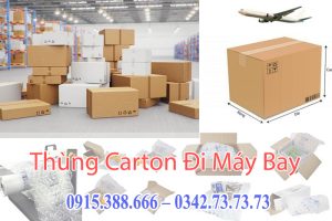 Thùng Carton Đi Máy Bay Đóng Hàng Kích Thước Chuẩn
