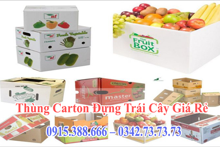 thung-carton-dung-trai-cay-gia-re-chat-luong-cao Thùng Carton Đựng Trái Cây Giá Rẻ, Chất Lượng Cao
