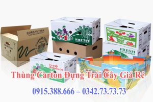 Thùng Carton Đựng Trái Cây Giá Rẻ, Chất Lượng Cao
