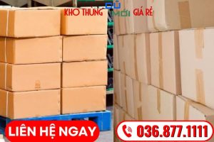 Dịch vụ thùng Carton Bạc Liêu chất lượng, giá tốt